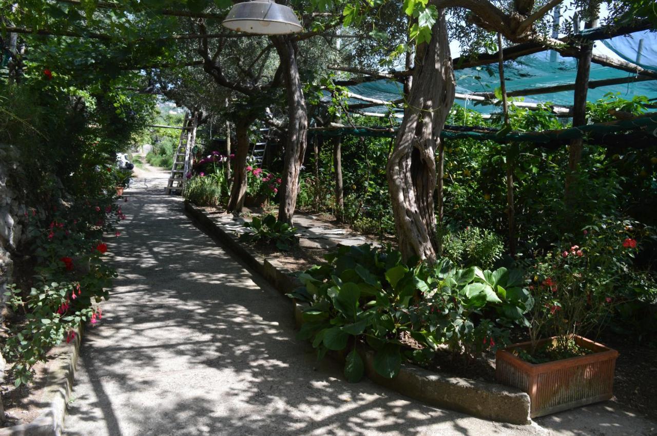La Petra Villa Vico Equense Eksteriør bilde