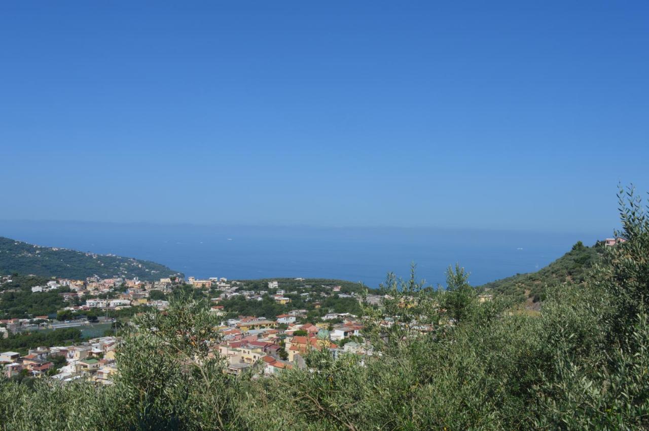 La Petra Villa Vico Equense Eksteriør bilde