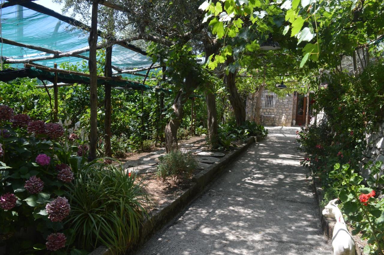 La Petra Villa Vico Equense Eksteriør bilde