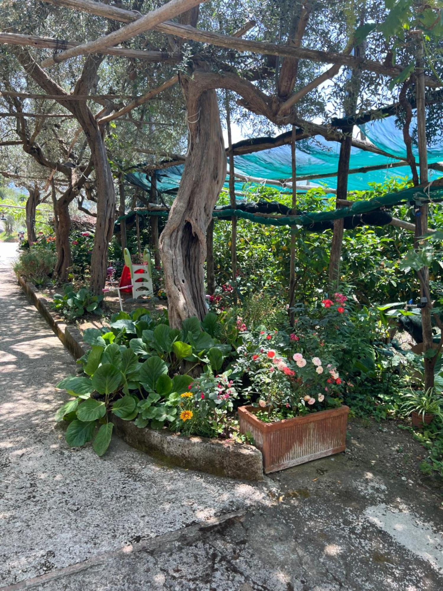 La Petra Villa Vico Equense Eksteriør bilde