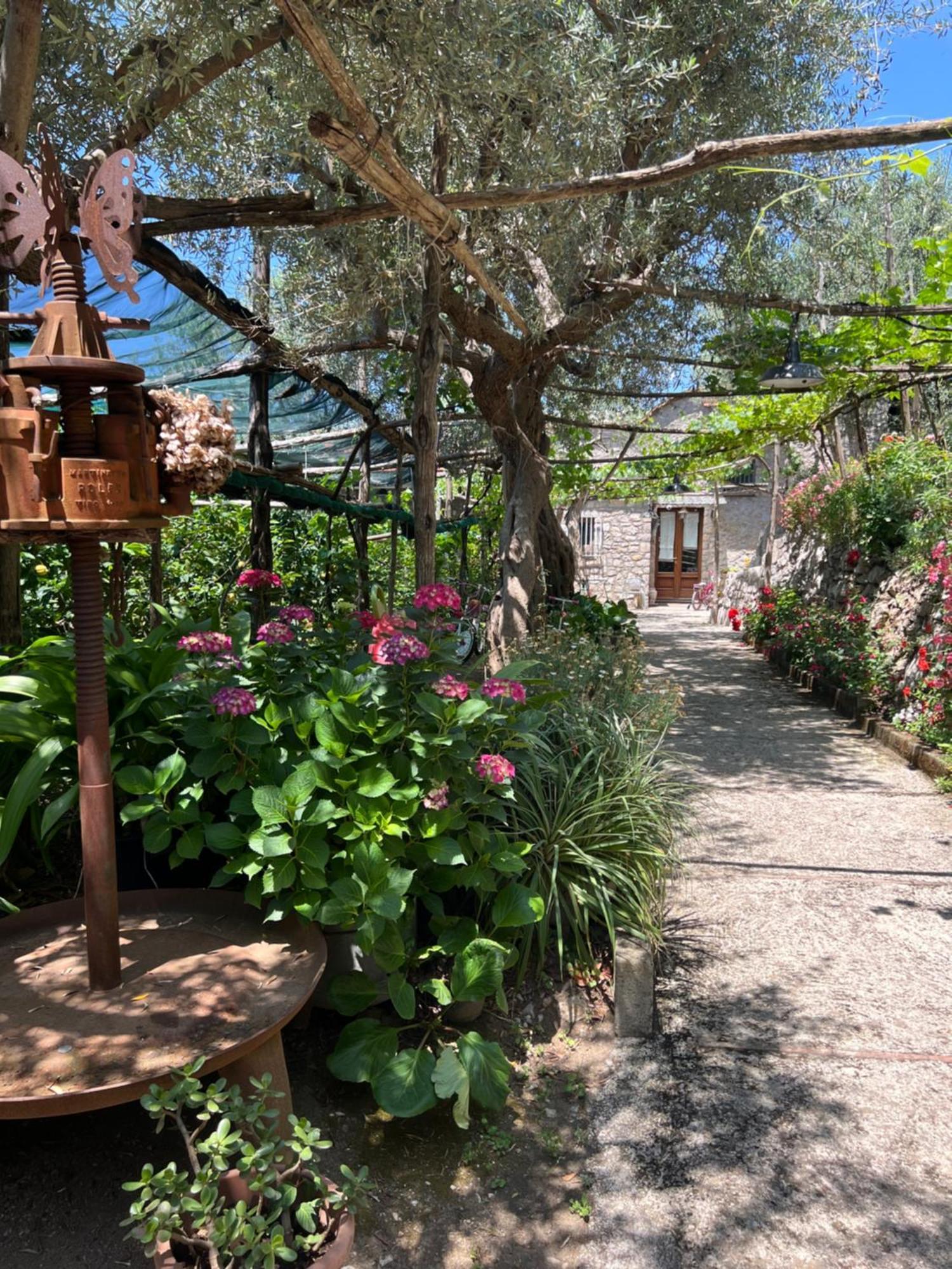 La Petra Villa Vico Equense Eksteriør bilde