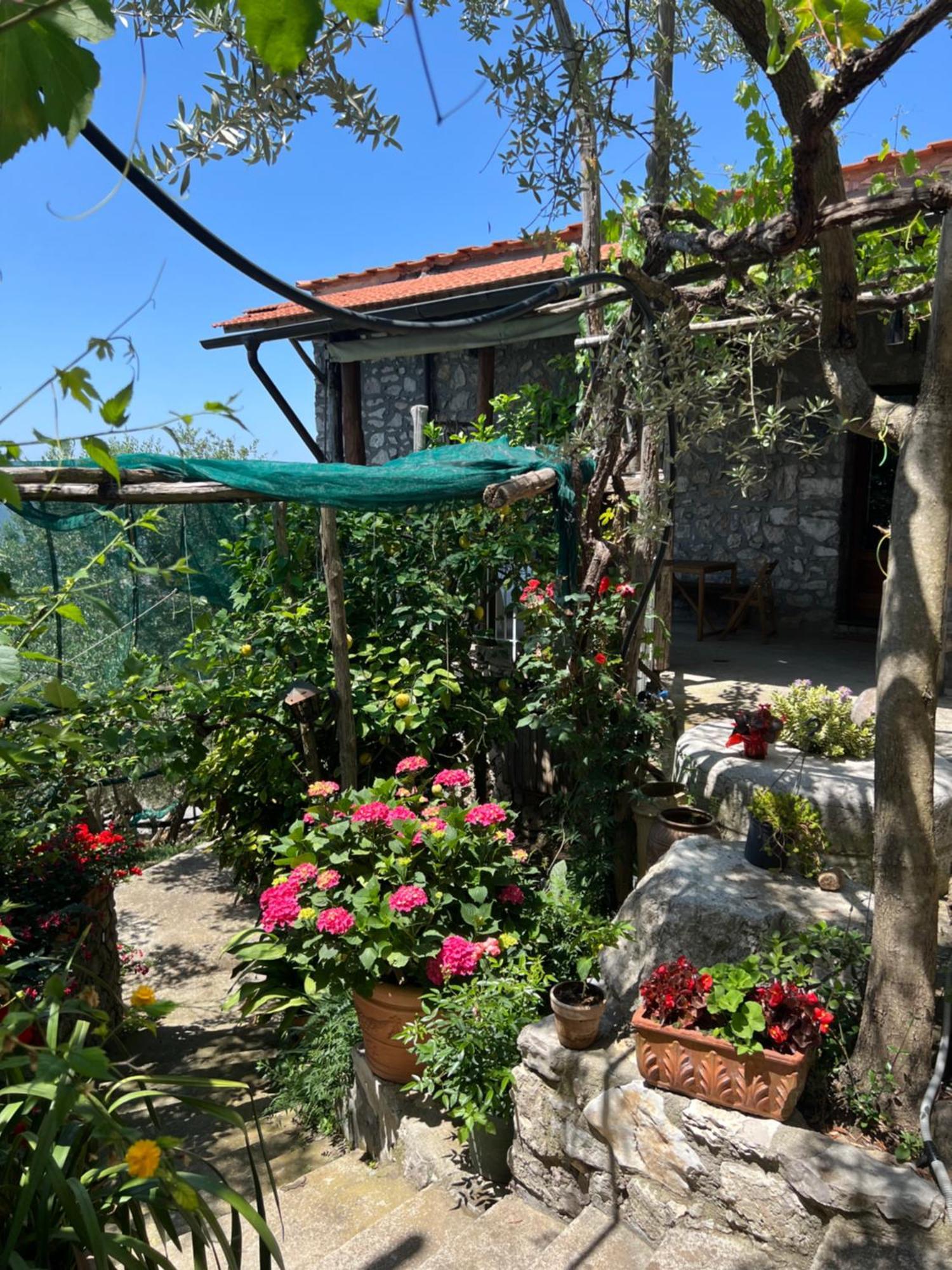 La Petra Villa Vico Equense Eksteriør bilde